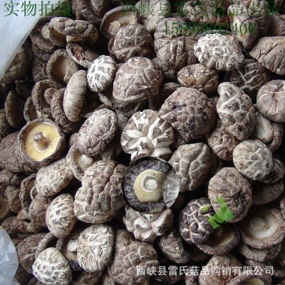 西峡花菇2.0-5.0菇世宝a级花菇 南北干货食用菌 产地货源片香菇 5件图4