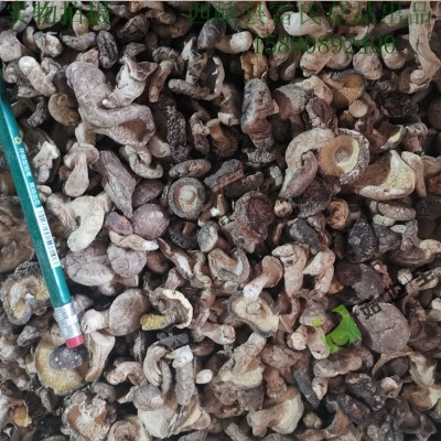 小香菇未剪腿带脚菇西峡农家特产菇香浓郁干货产地直销厂商适用 5件图2