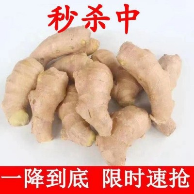 生姜山东黄姜老姜山东姜水洗无土月子姜老姜新鲜黄姜批发厂家批发 2千克图3