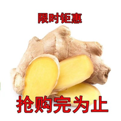 生姜山东黄姜老姜山东姜水洗无土月子姜老姜新鲜黄姜批发厂家批发 2千克图4