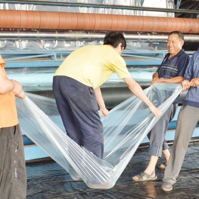 厂家直供PE透明农用塑料薄膜塑料布加厚黑白无滴膜大棚膜PO膜批发 200平方米图3