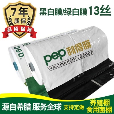 13丝PEP利得膜大棚黑白膜防晒遮阳隔热降温有色膜种植养 殖棚膜 200平方米图2