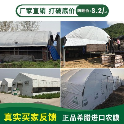 13丝PEP利得膜大棚黑白膜防晒遮阳隔热降温有色膜种植养 殖棚膜 200平方米图4