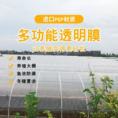 厂家批发雨棚农场种养殖隔热菌菇15丝有色膜大棚黑白膜PEP利得膜 200平方米图3