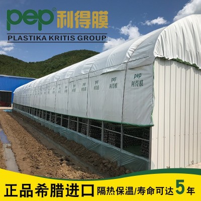 种植养殖隔热耐拉扯PEP利得膜菌菇13丝棚膜黑白膜有色膜批发 200平方米图2