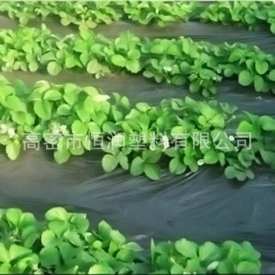 农膜银黑两面地膜 塑料薄膜 黑色除草地膜农用黑地膜保温保湿地膜 10个图2