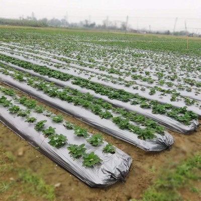 农膜银黑两面地膜 塑料薄膜 黑色除草地膜农用黑地膜保温保湿地膜 10个图5