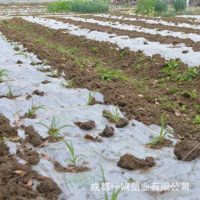 PE全新料可打孔地膜 农用白色透明保温塑料薄膜 农膜地膜厂家批发 20千克图3
