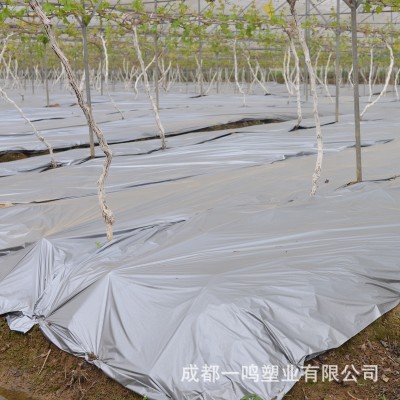 厂家批发农用PE葡萄苹果果树反光膜银黑地膜反光地膜 20千克图4