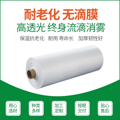 厂家直销PE透明农用塑料薄膜塑料布加厚长寿无滴膜大棚膜PO膜批发 100平方米图4