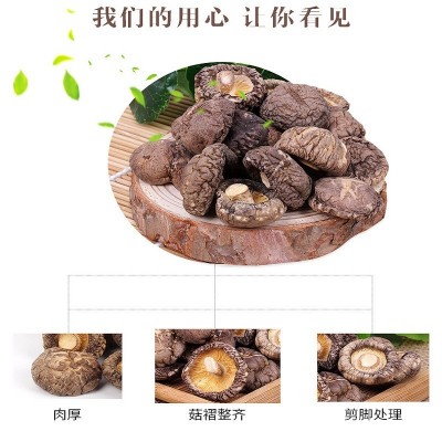 【全国包邮】大山合金钱菇228g庆元小香菇金钱菇铜板小香菇珍珠菇图3