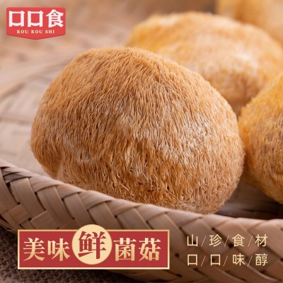 猴头菇干货无硫新货剪脚肉厚古田特产新鲜猴头菇干食用菌煲汤批发图2