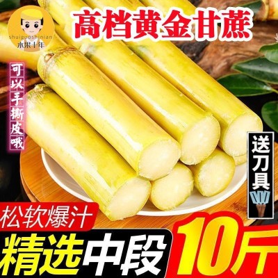 中段长节黄金甘蔗新鲜应季水果批发10斤2/5斤比黑皮甜杆松软代发图3