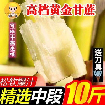 中段长节黄金甘蔗新鲜应季水果批发10斤2/5斤比黑皮甜杆松软代发图4