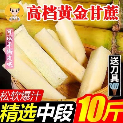 中段长节黄金甘蔗新鲜应季水果批发10斤2/5斤比黑皮甜杆松软代发图2