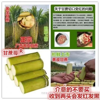 中段长节黄金甘蔗新鲜应季水果批发10斤2/5斤比黑皮甜杆松软代发图5
