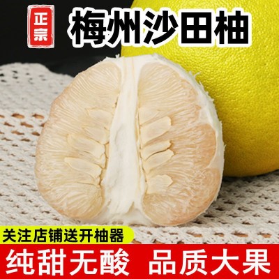 梅州沙田柚梅县特产白心甜柚子当季应季新鲜水果非广西容县独立站图2