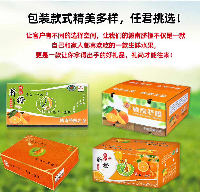 赣南脐橙详情21_09.jpg