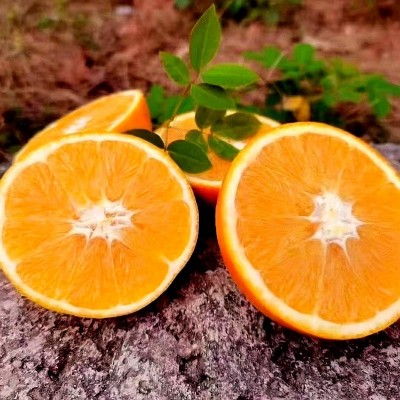 赣南脐橙新鲜水果批发橙子批发送人当季10斤新鲜当季水果礼盒装图2