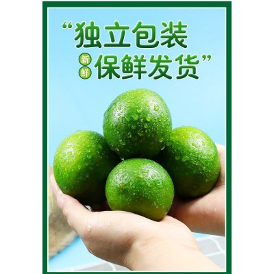 万州青柠檬北京青个头大皮薄多汁清香柠檬奶茶店青柠檬图3