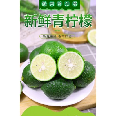 万州青柠檬北京青个头大皮薄多汁清香柠檬奶茶店青柠檬图2