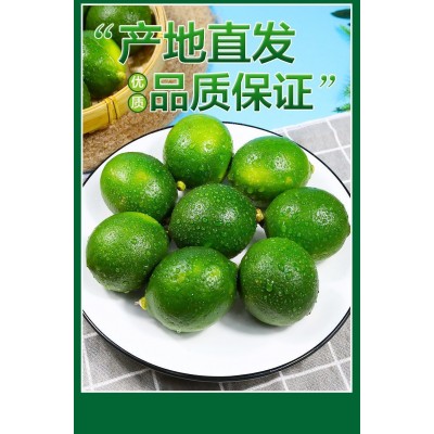 万州青柠檬北京青个头大皮薄多汁清香柠檬奶茶店青柠檬图4