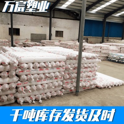 批发0.6米-12米宽农用薄膜 白色塑料布聚乙烯薄膜 农膜透 明塑料膜图3