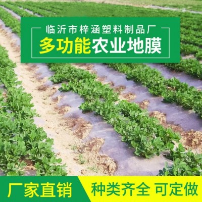 厂家直销农用白地膜白色透明保温地膜保湿地膜蔬菜地膜4公斤/卷图2