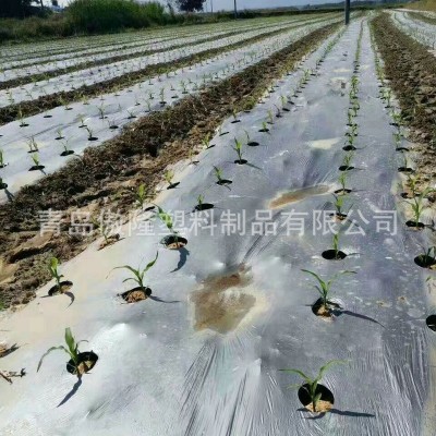 厂家直供中药材地膜银黑色反光除草农用黑地膜保温保湿苍术批发图4