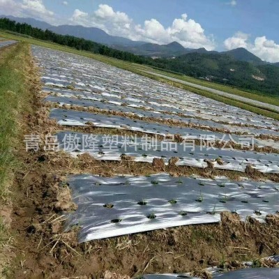 厂家直供中药材地膜银黑色反光除草农用黑地膜保温保湿苍术批发图2
