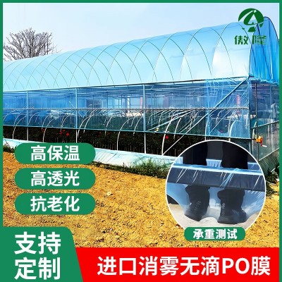 大棚膜薄PO膜长寿农用塑料薄膜透明塑料布加厚温室农膜无滴黑白膜