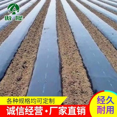 厂家打孔加工定制 农膜 黑地膜 地膜农用 除草用黑地膜图2