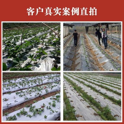 黑色地膜PE加厚保温打孔银灰反光膜塑料银黑双色除草膜农用薄膜图4