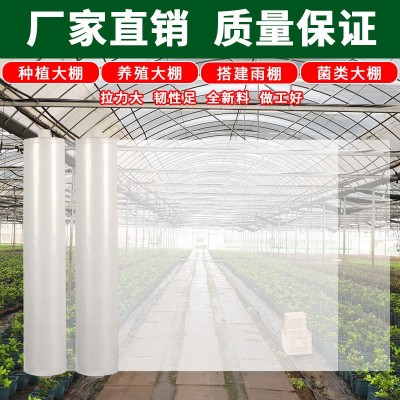 厂家生产PE透明农用薄膜聚乙烯塑料布包装工程防雨盖货大棚膜批发图4