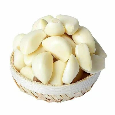 山东金乡紫皮大蒜批发新干蒜头紫白皮大蒜精选包邮直发量大从优图2