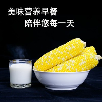 中港专供水果双色金银甜玉米诚信合作量大从优图3