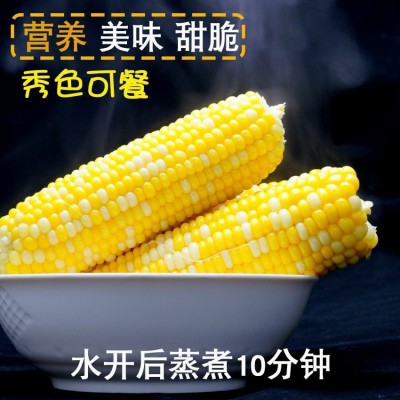 中港专供水果双色金银甜玉米诚信合作量大从优图2