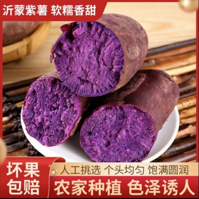 山东紫罗兰紫薯新鲜地瓜农家蔬菜香甜软糯板栗紫薯泥番薯紫心蜜薯图2