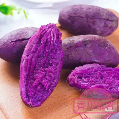 山东紫罗兰紫薯新鲜地瓜农家蔬菜香甜软糯板栗紫薯泥番薯紫心蜜薯图4