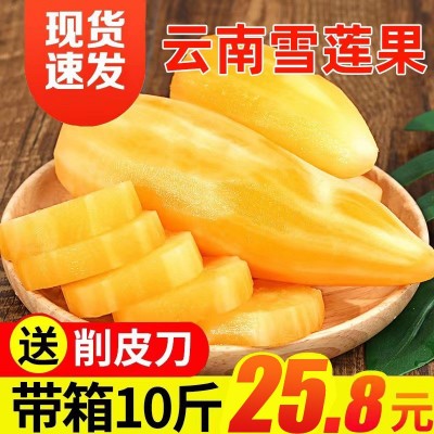 雪莲果批发，不包售后，介意者勿拍【丢件包赔】图3
