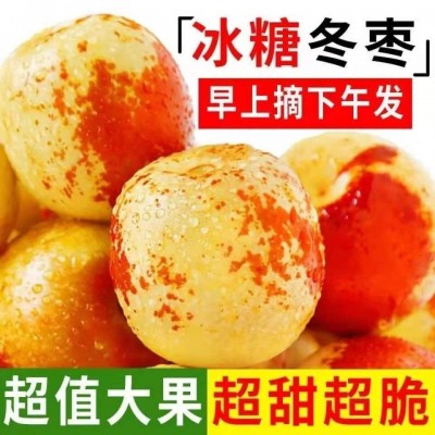 陕西大荔冬枣新鲜脆甜枣子红枣当季孕妇新鲜水果青枣整箱6包邮图2