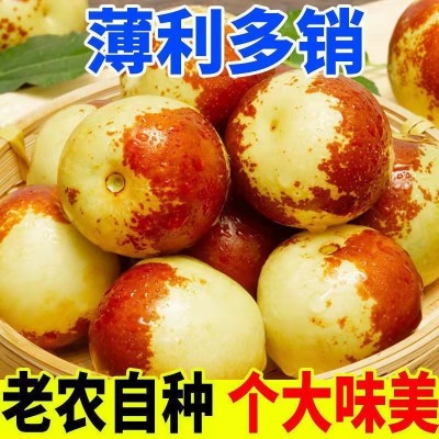 陕西大荔冬枣新鲜脆甜枣子红枣当季孕妇新鲜水果青枣整箱6包邮图4