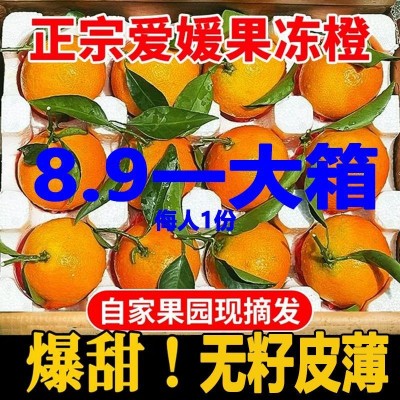 正宗四川爱媛38号果冻橙薄皮手剥橙子脐橙孕妇应季新鲜水果批发图3