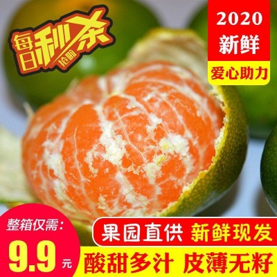 新鲜橘子宜昌蜜桔薄皮桔子孕妇水果非丑橘子青皮无籽柑橘3/5/10斤图3