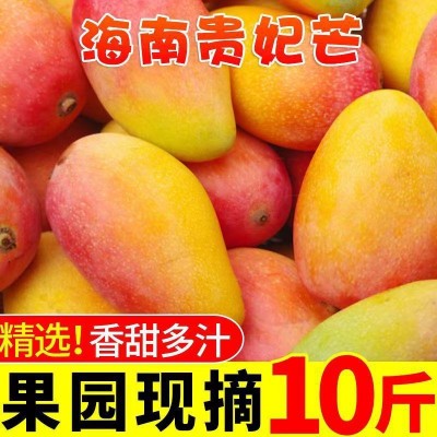 海南贵妃芒芒果0斤装整箱新鲜水果红金龙水仙甜心青非凯特代发图3