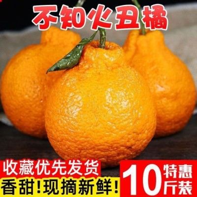 耙耙柑四川不知火丑橘当季新鲜橘子手剥甜大果现摘水果包邮亚马逊图3