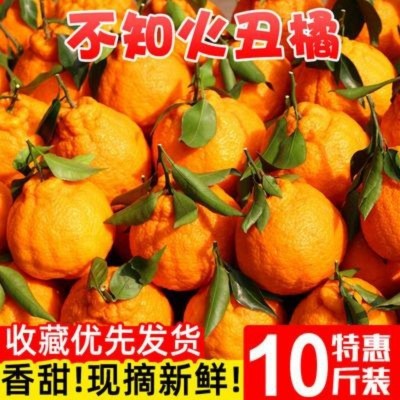 耙耙柑四川不知火丑橘当季新鲜橘子手剥甜大果现摘水果包邮亚马逊图4