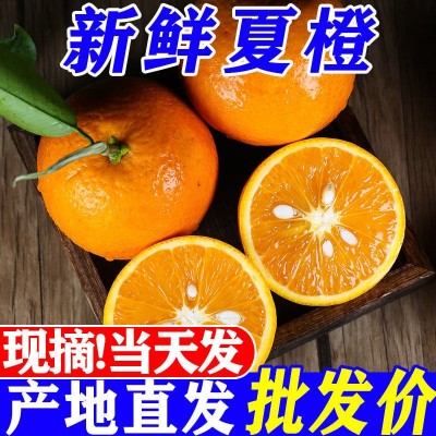 大降价新鲜夏橙应季水果甜橙子手剥橙子1斤-10斤整箱商用批发厂家图4