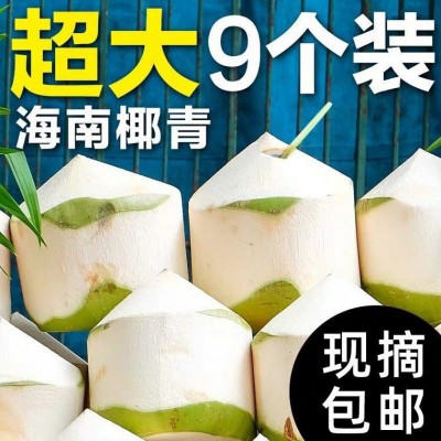 椰青海南特产椰子新鲜水果孕妇椰皇毛椰榨椰汁椰肉6/9大果香水椰图3