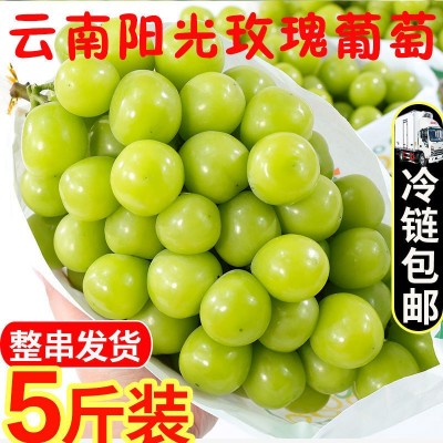 云南阳光玫瑰葡萄香印晴王青提子无籽新鲜孕妇水果当季整箱5斤图2